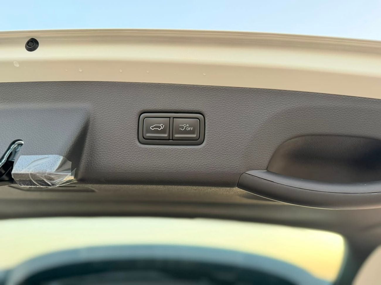 Kia Carnival EX