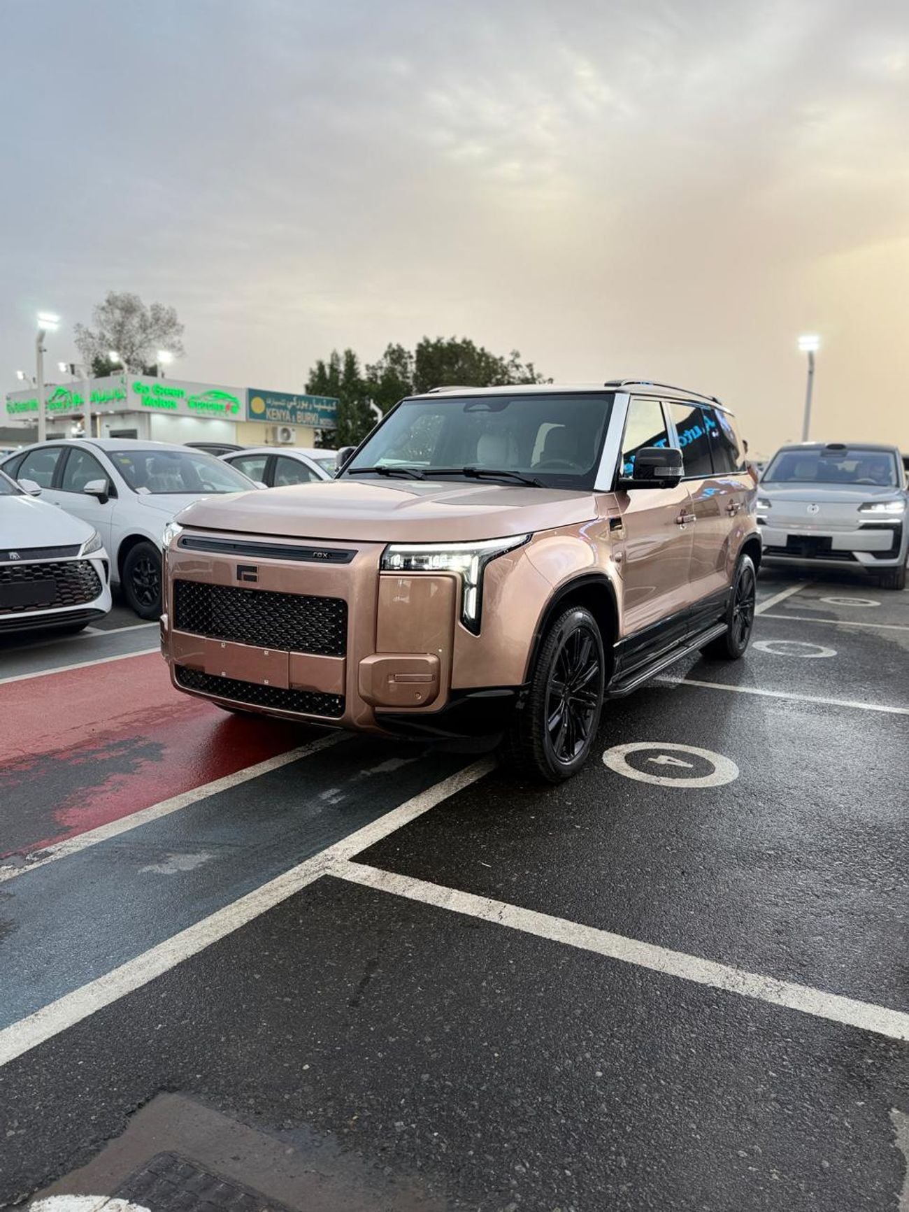 روكس أداماس FIRST CLASS 7 seats big battery full option