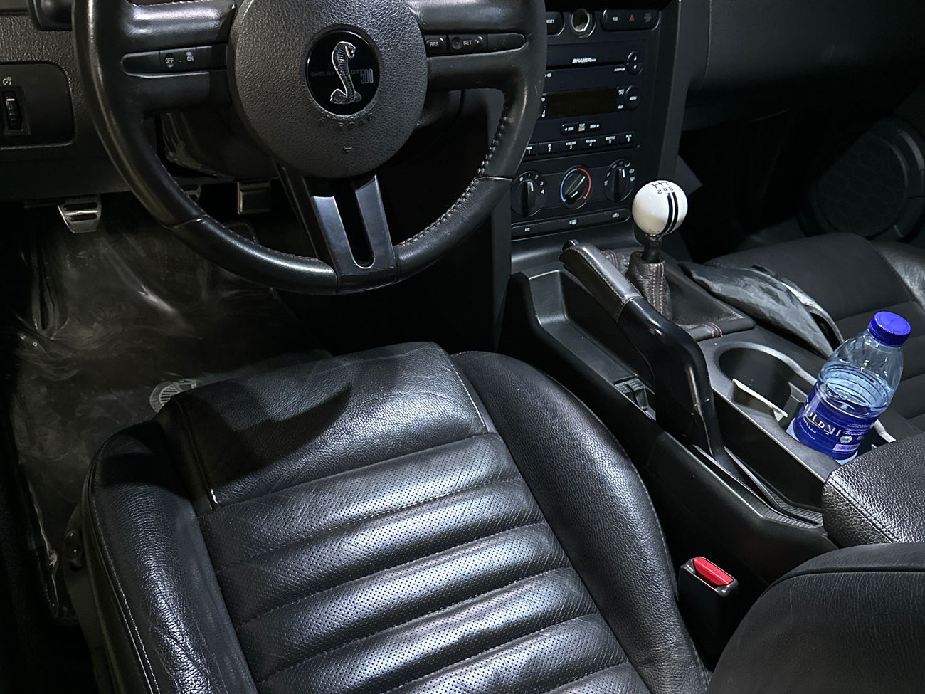 Ford F 150 mustang shelby