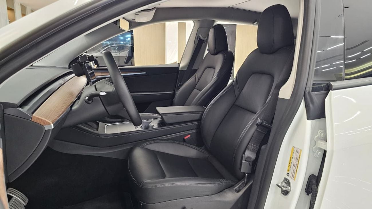 Tesla Model Y PERFORMANCE