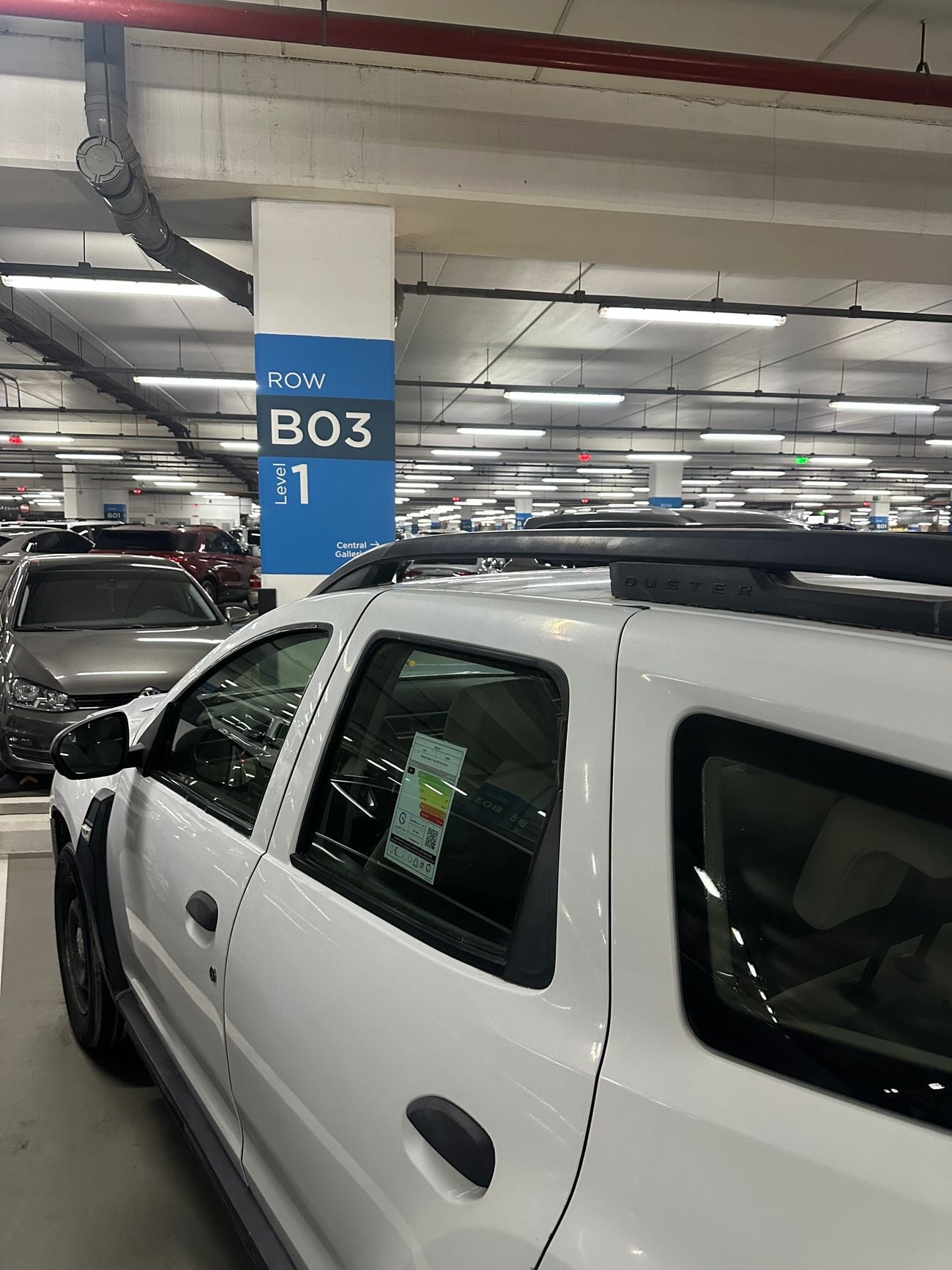 Renault Duster LE