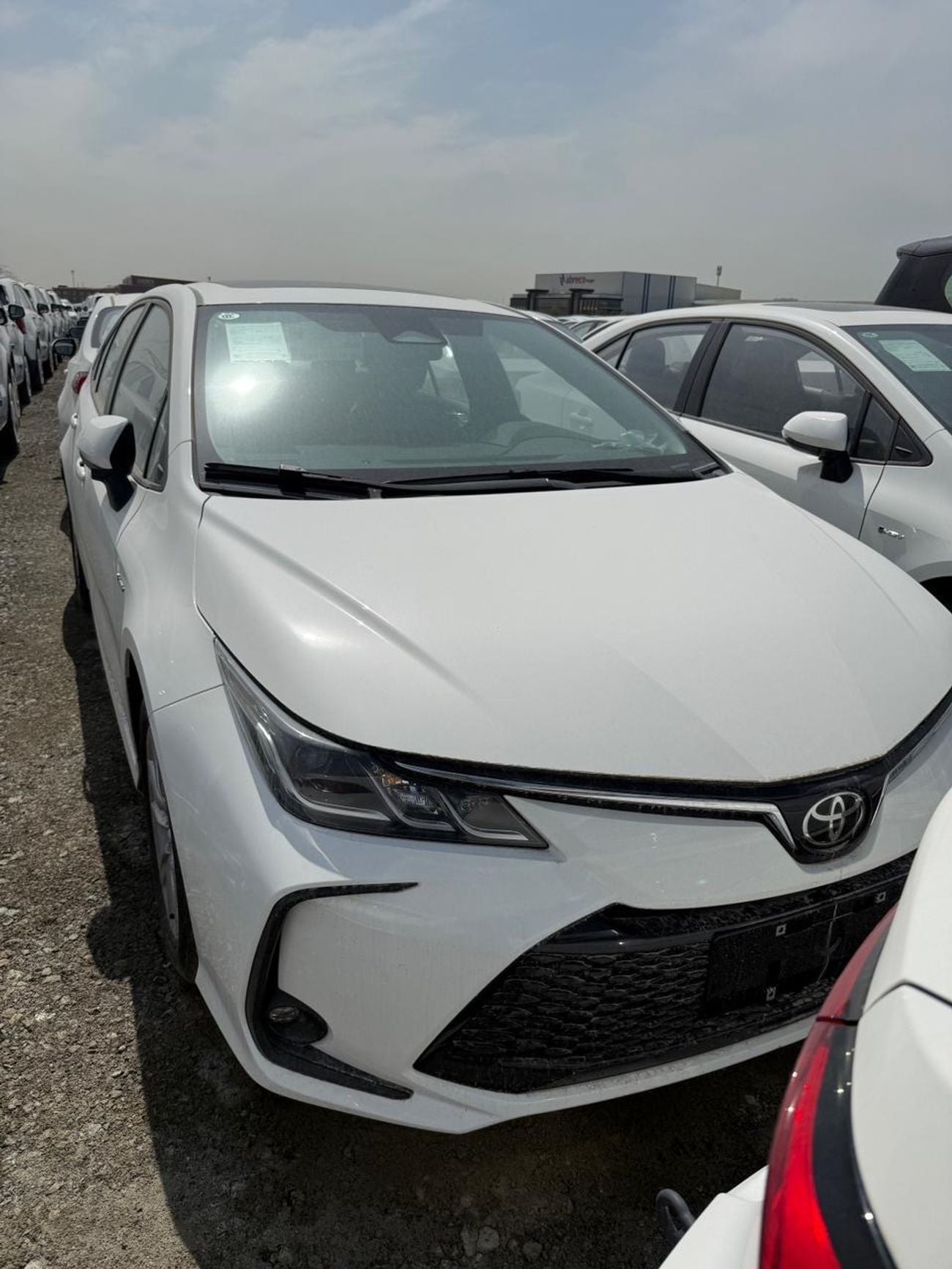 تويوتا كورولا