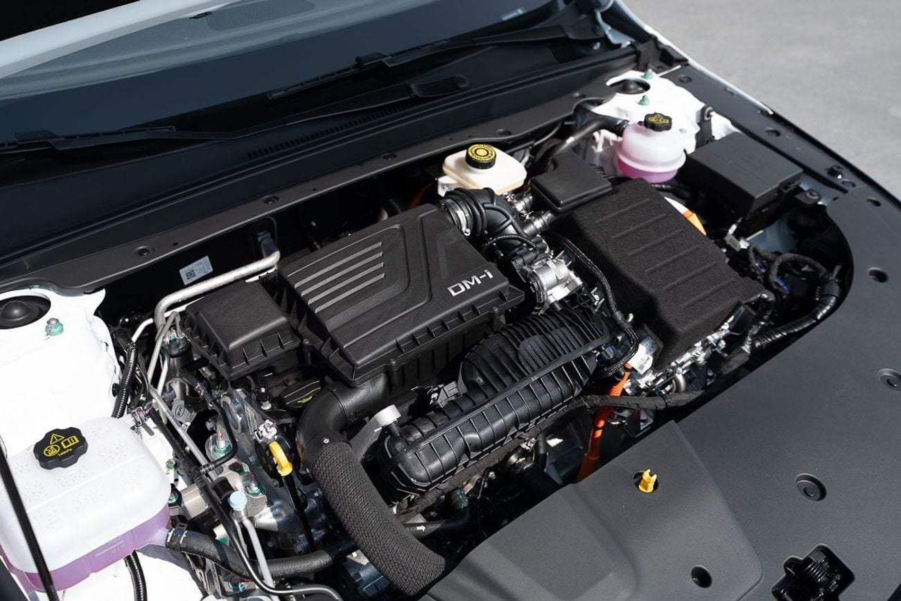 BYD Destroyer 05 Honor DM-i 55km Luxury 2025