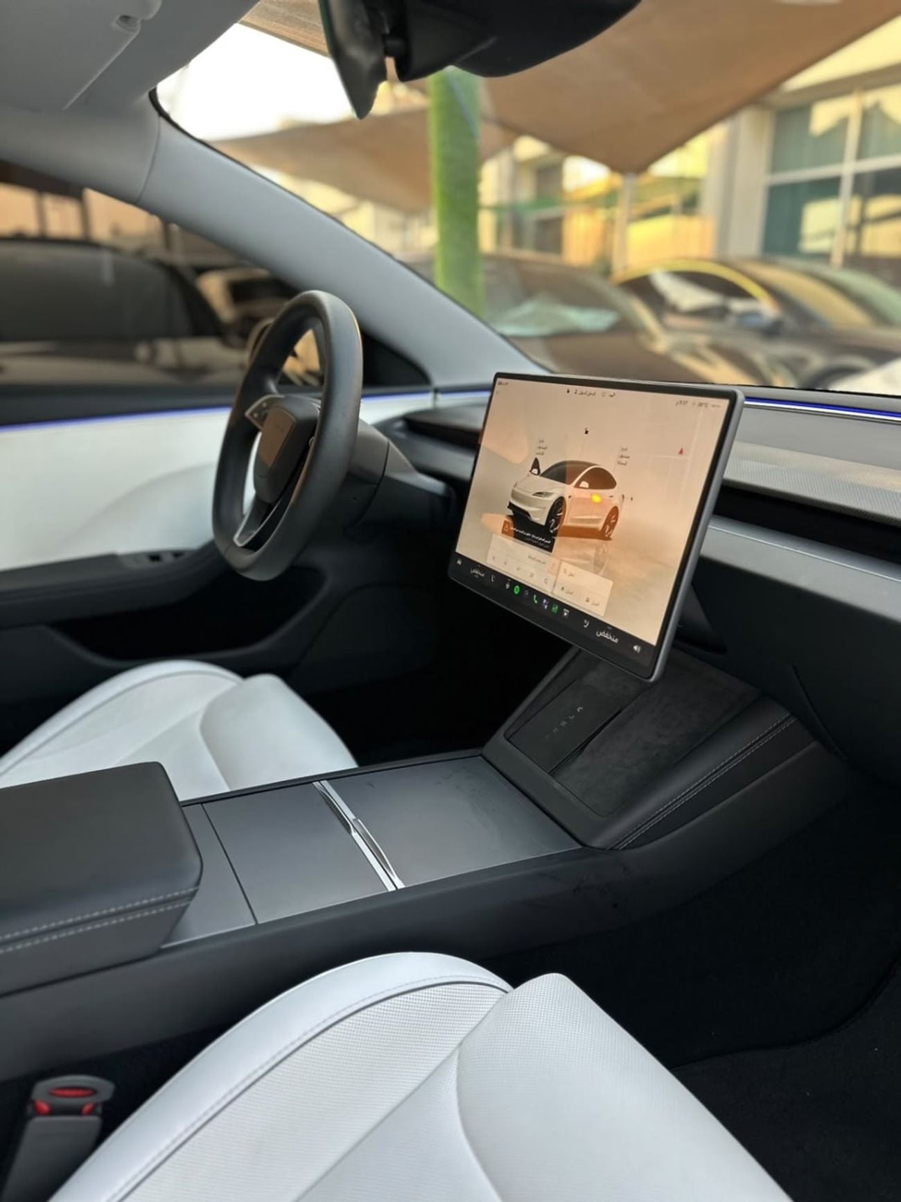 Tesla Model 3 PERFORMANCE