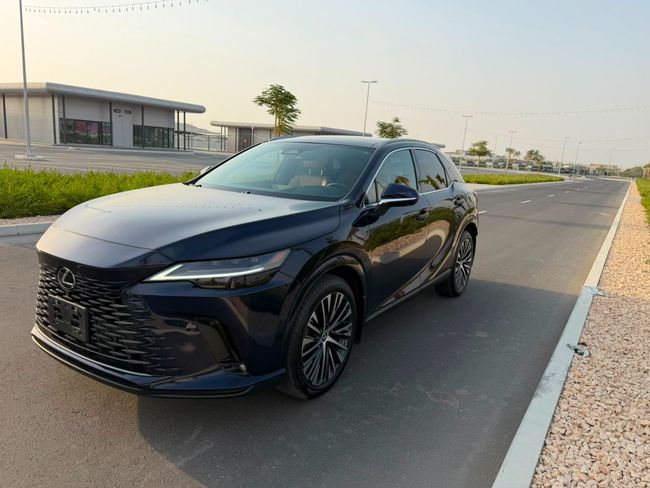 Lexus RX EXCELLENCE, миниатюра 24