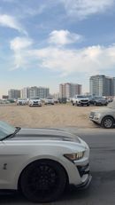 Ford Mustang Mustang GT 5.0 manual