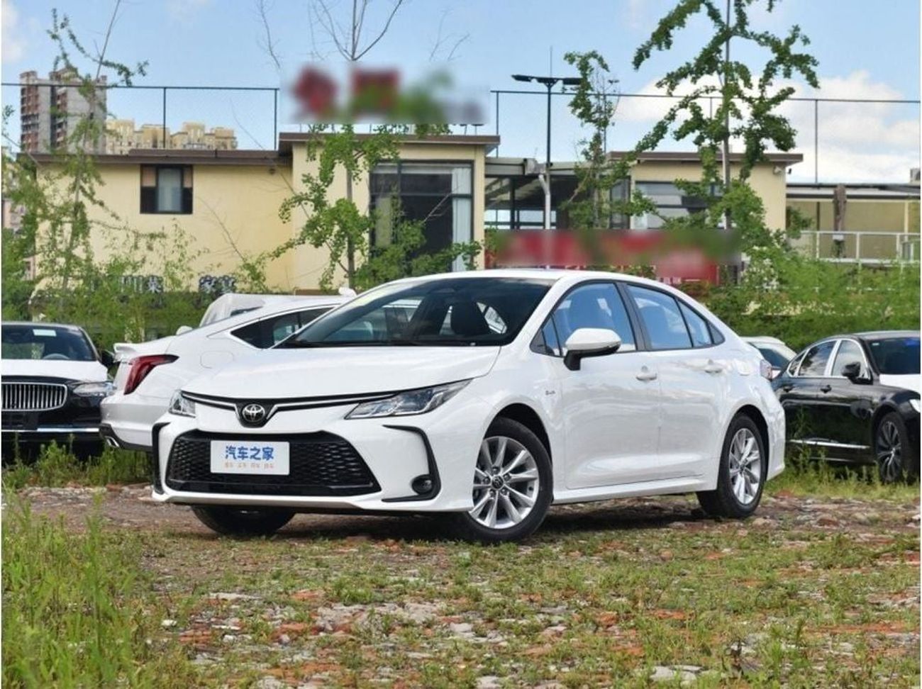 Toyota Corolla GLI 1.8L Corolla 1.8 Hybrid Elite option （export price)