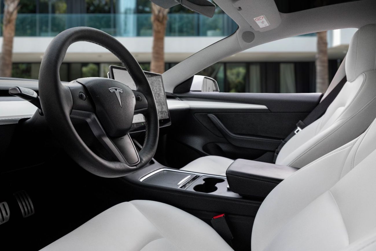 Tesla Model 3 PERFORMANCE | 2,017 P.M  | 0% Downpayment | WARRANTY!