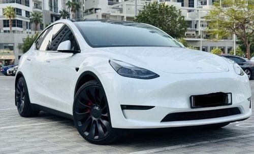 Tesla Model Y PERFORMANCE