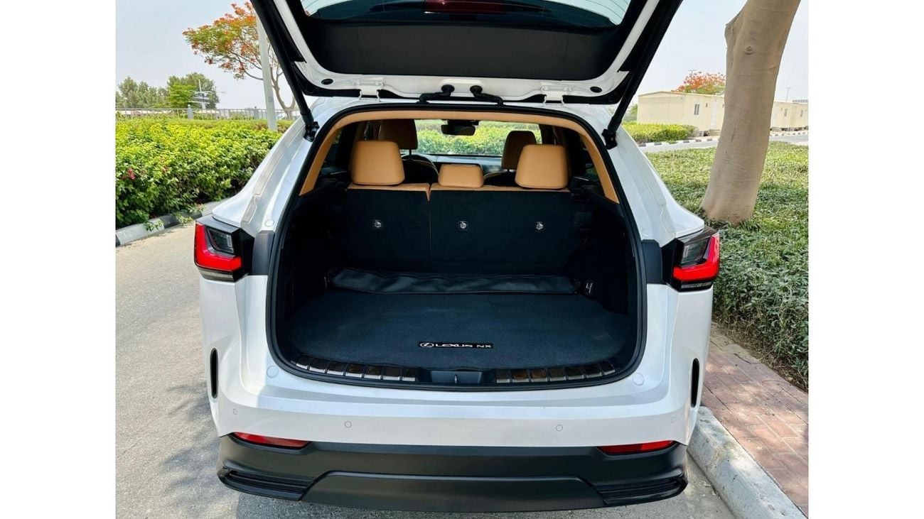 Lexus NX350 Full option