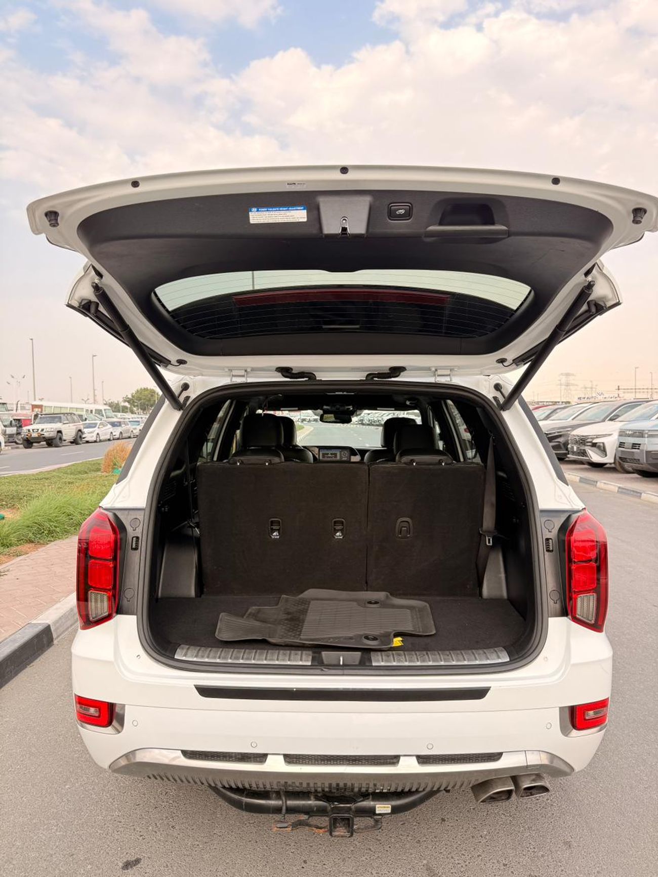 Hyundai Palisade Calligraphy | panoramic, 360 camera, head up display 2022 model