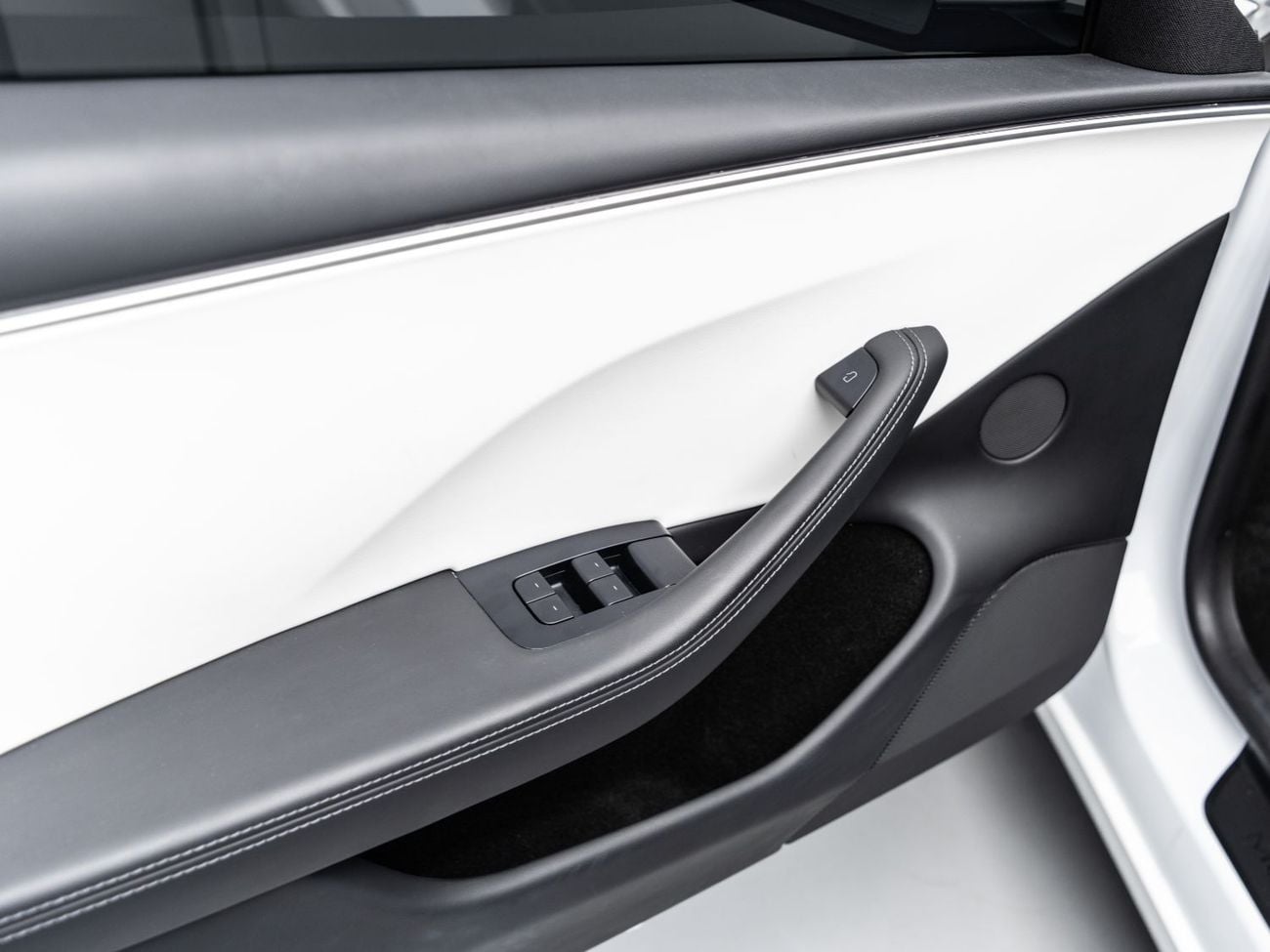 Tesla Model 3 PERFORMANCE BUY NOW, PAY 2027 | THE BLACKLINE STANDARD | Tesla Warranty, Carbon Fibre, GCC