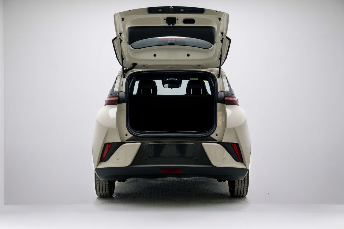 BYD Seagull ID Flying - White Inside Blue | Export Only