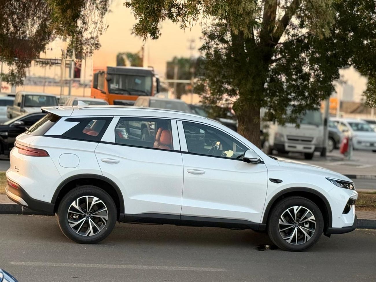 بي واي دي سونغ برو