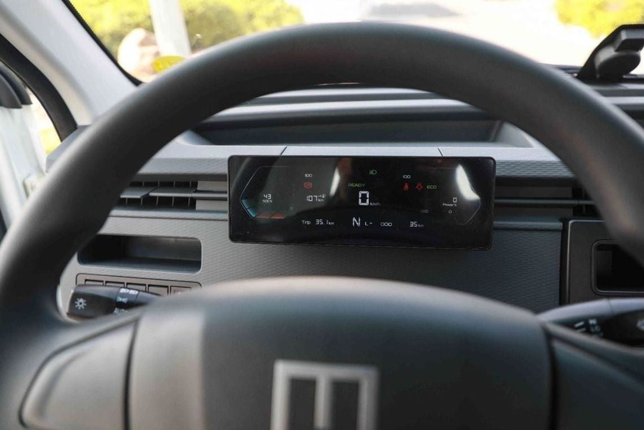 Geely Farizon 2024 SUPER VAN FARIZON F1E FENCE - WHITE inside BLACK | Export Only