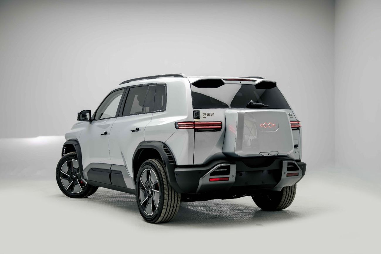 BYD Leopard Titanium 3 ID Ultra - Silver Inside Black | Export Only