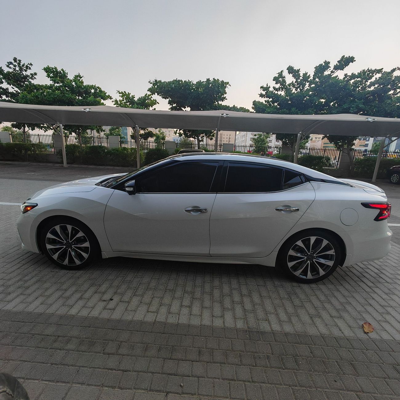 نيسان ماكسيما