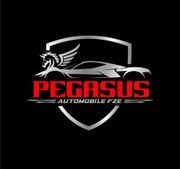 Pegasus Automobile