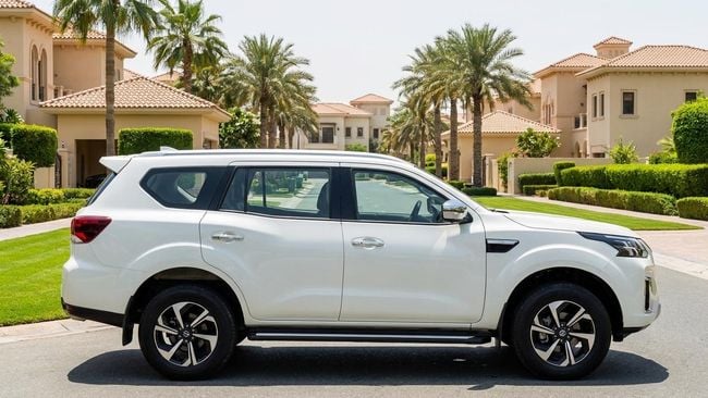 Nissan Xterra PLATINUM, миниатюра 24