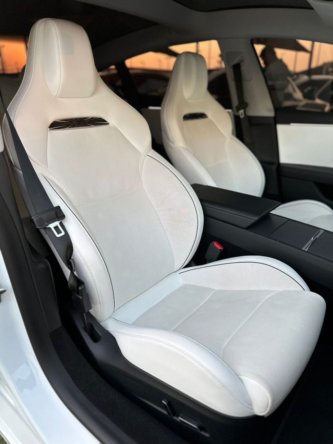 Tesla Model 3 Performance (AWD)