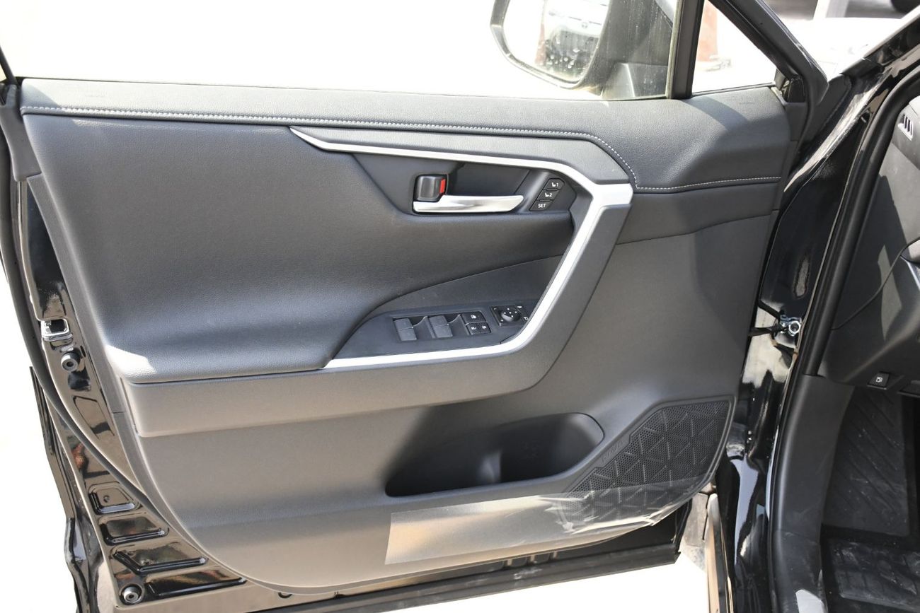 Toyota RAV4 2.5L HEV Limited  Full Option  Door Molding (Ready Stock)