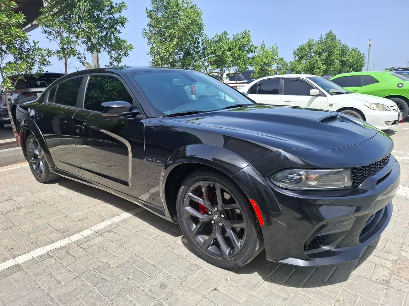 دودج تشارجر دودج 2022 تشارجر V8