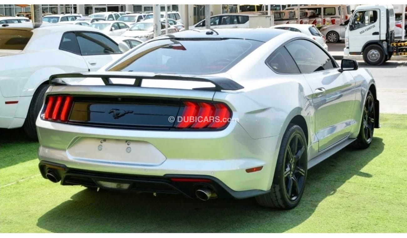 Ford Mustang EcoBoost EcoBoost Mustang V4 2.3L 2019/Leather Interior/Shelby Kit/Excellent Condition