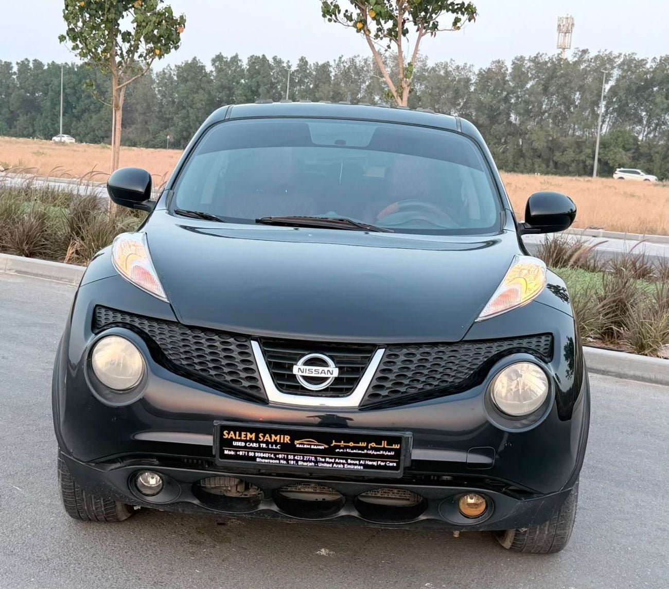 Nissan Juke S