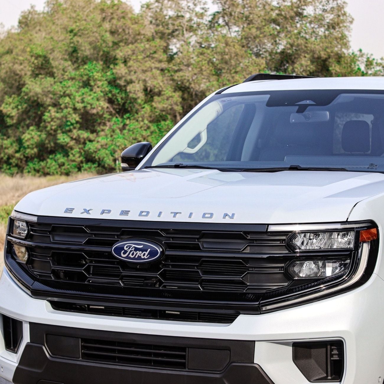 Ford Expedition