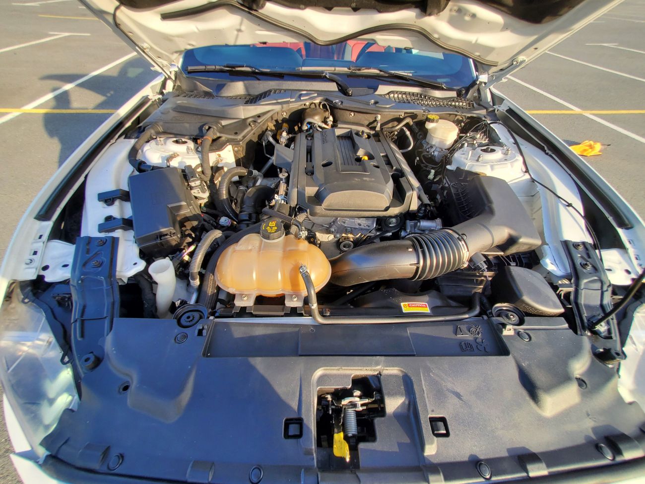 فورد موستانج 2.3L Ecoboost turbo shelby kit 1 year major service free