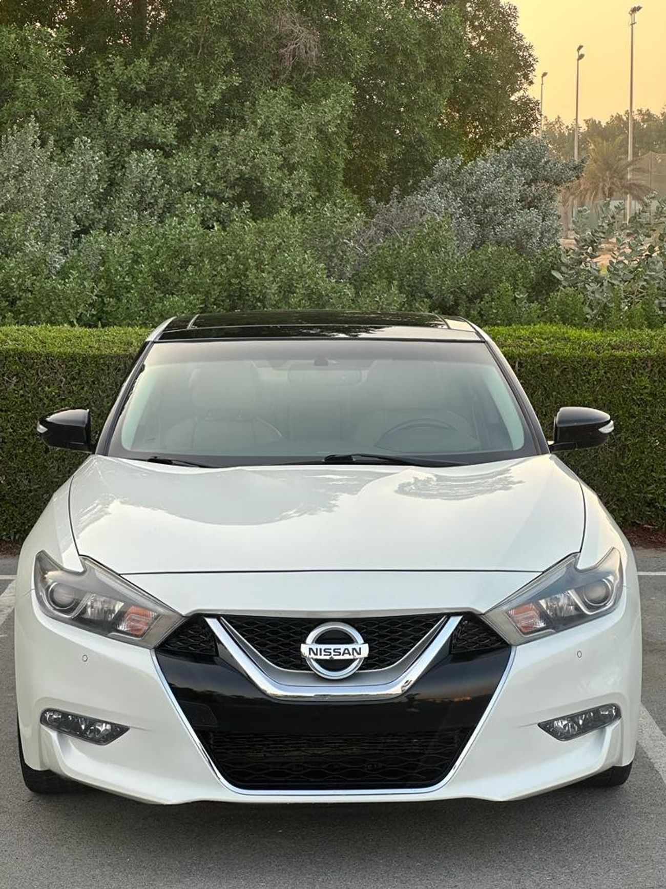 Nissan Maxima SL