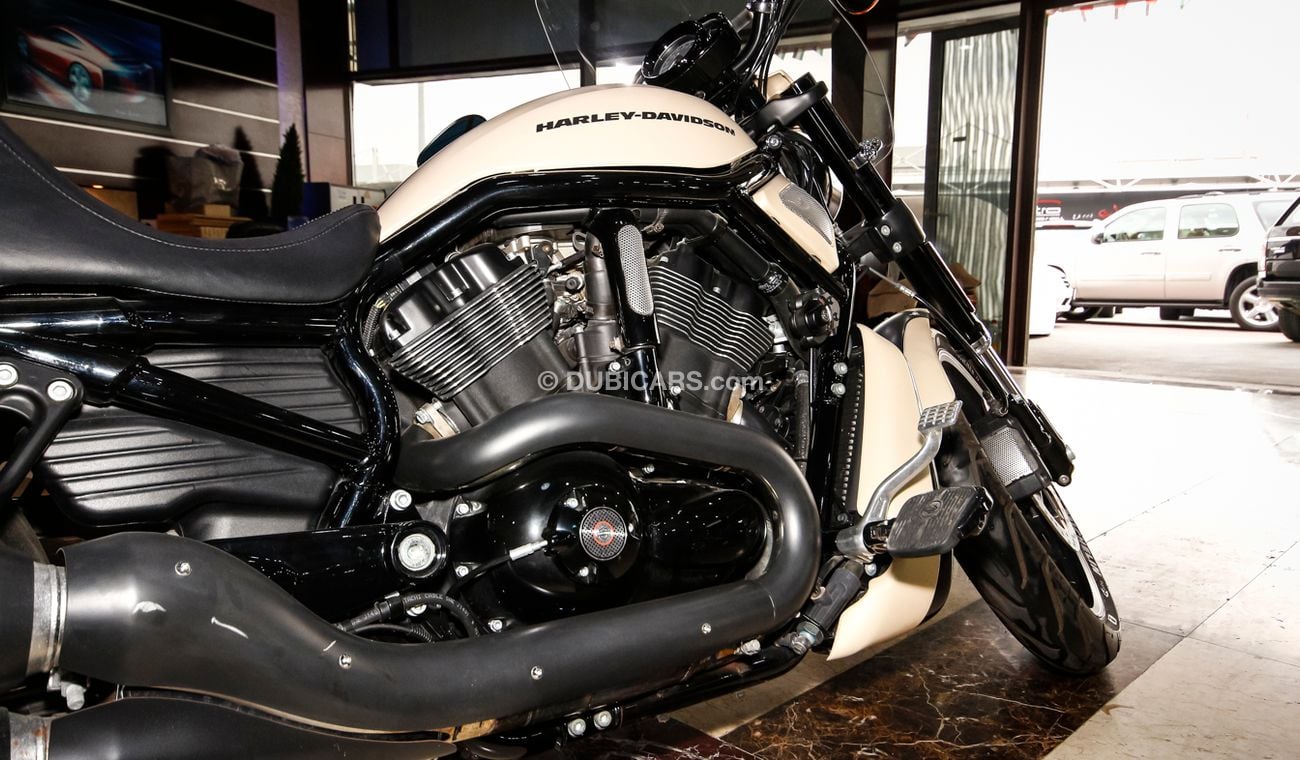 Harley-Davidson VRSCF 1300 CC