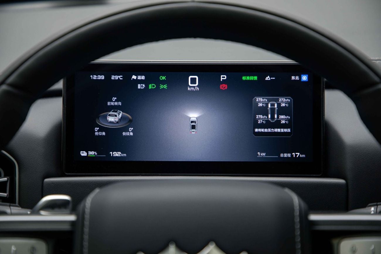 BYD Leopard Titanium 3 ID Ultra - White Inside Black | Export Only