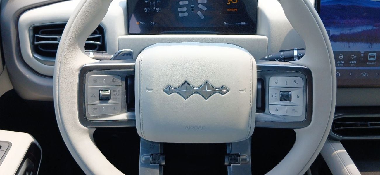 بي واي دي Leopard 3 TITANIUM 501km Range 2025YM