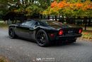 Ford GT Rare 1 of 14 Stripe Delete