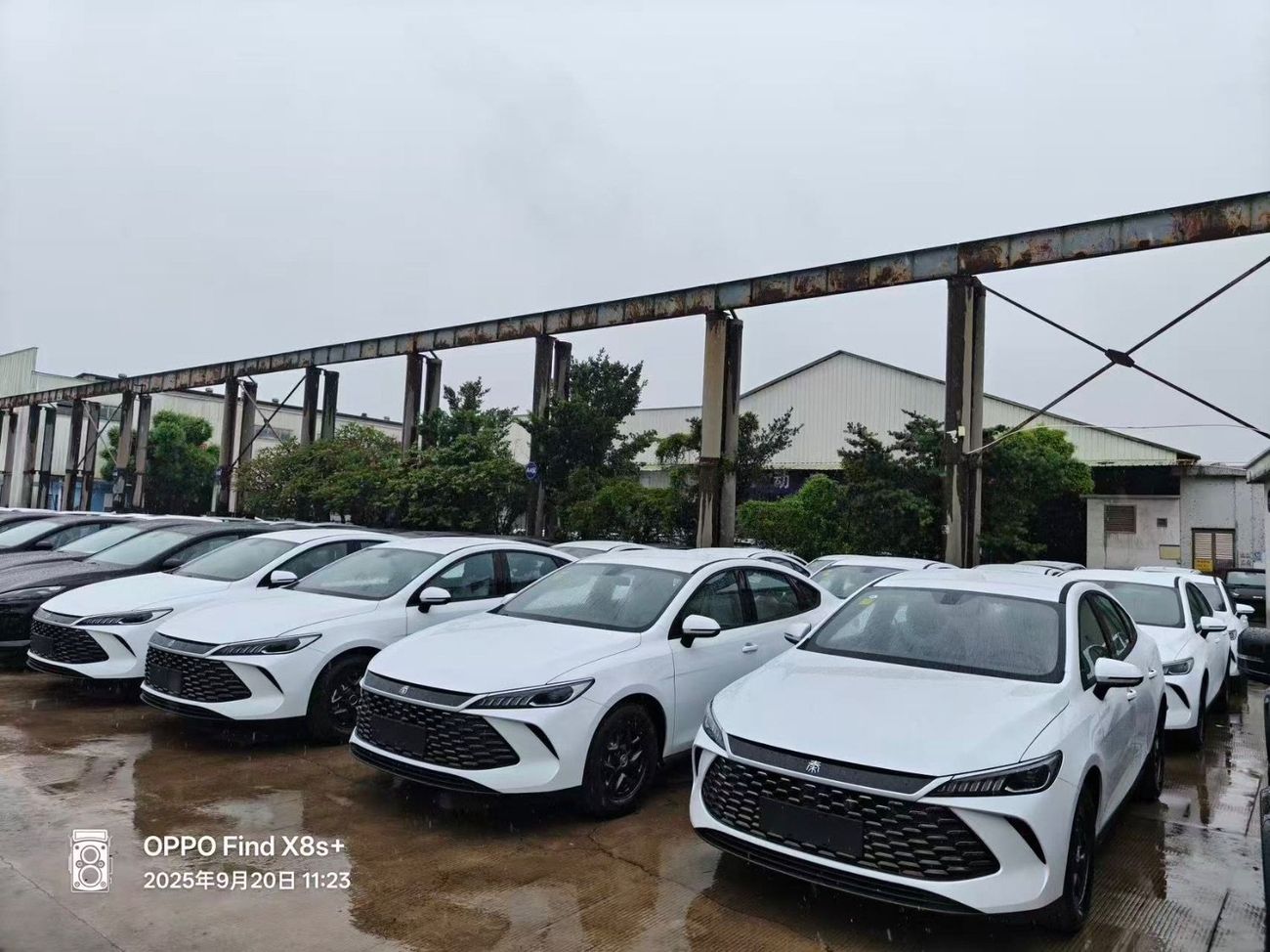 بي واي دي كين بلاس Byd qin plus DMI55 km