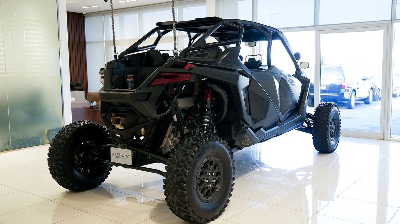 Polaris Dune Buggy STEALTH BLACK