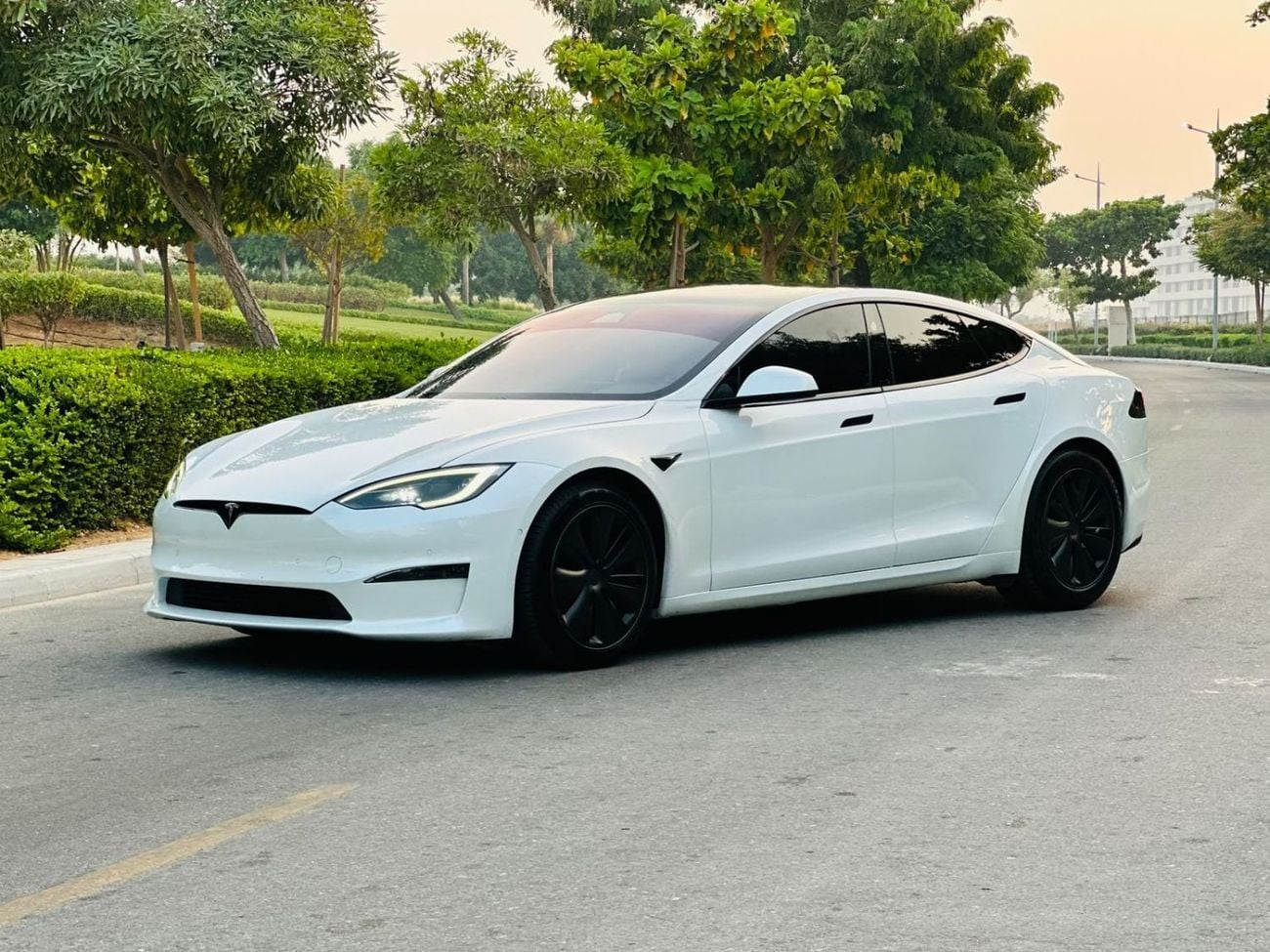 Tesla Model S PLAID
