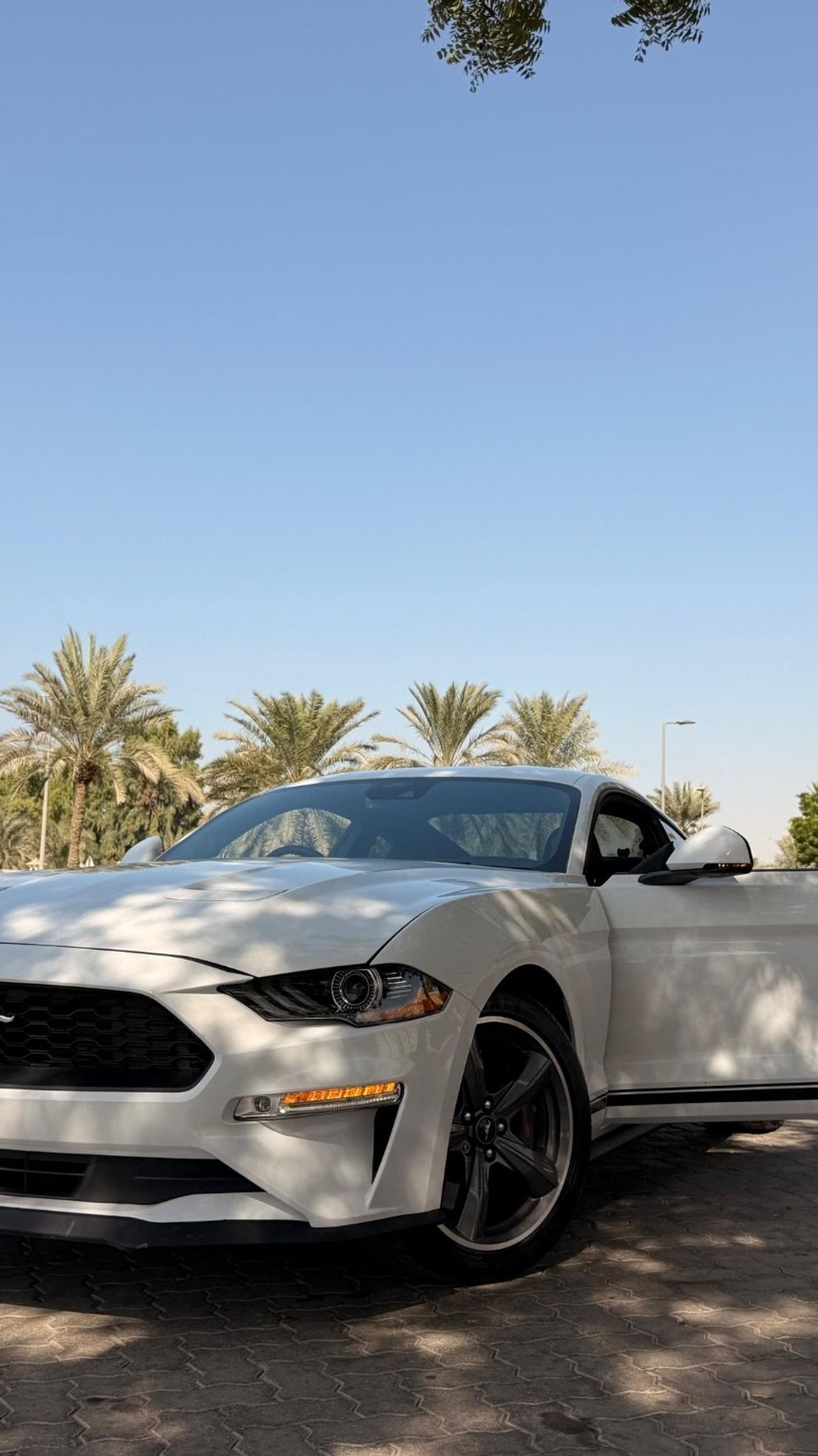 فورد موستانج MACH 1 PREMIUM GT California Special 5.0L (435 HP) Coupe A/T