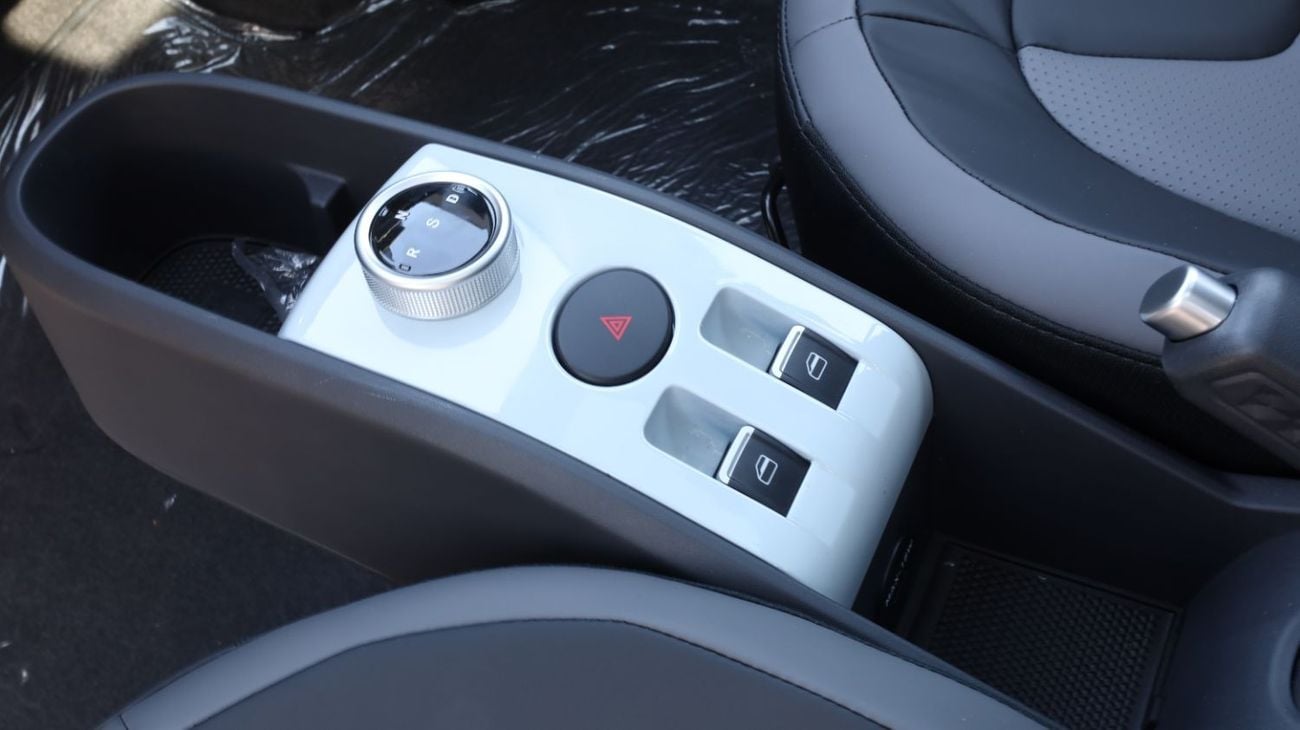 XEV YoYo PRO Urban Electric Car 2024 Model