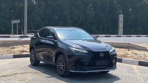 Lexus NX 250 F-Sport 2.5T Platinum