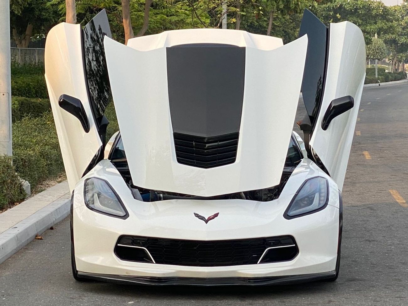 Chevrolet Corvette Z51 Competition SEats