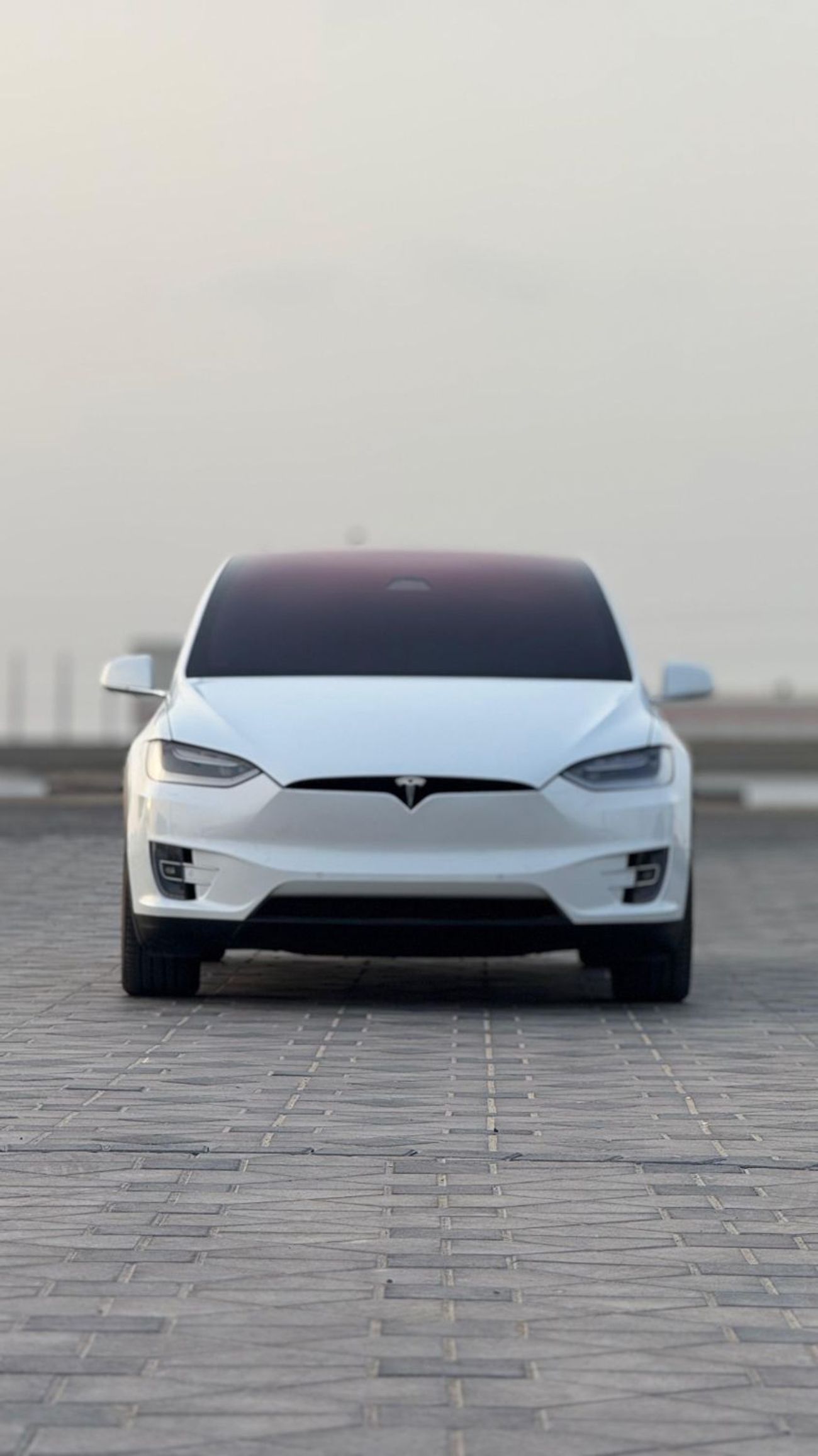 Tesla Model X Long Range (AWD)