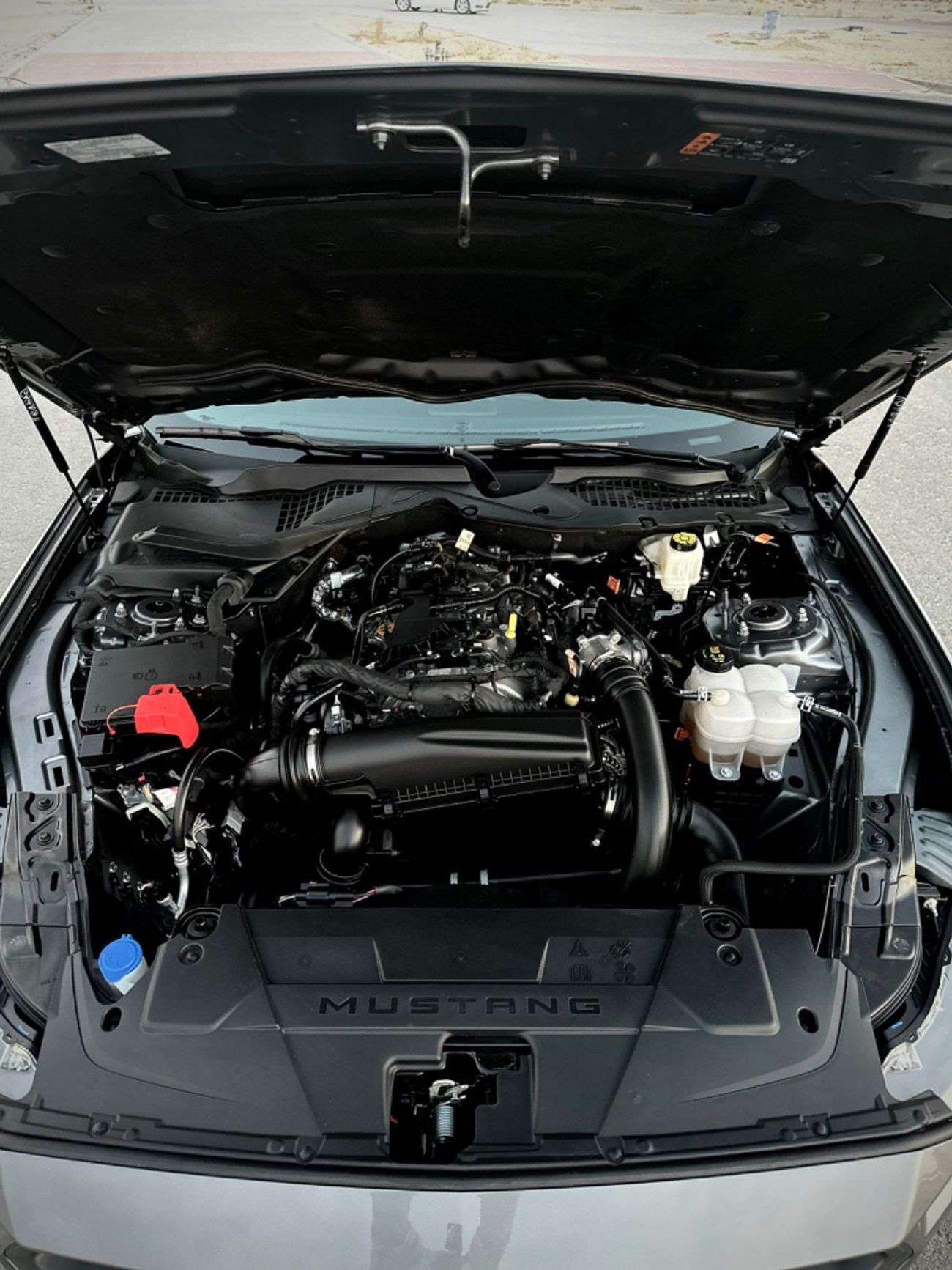 Ford Mustang EcoBoost Premium 2.3L Coupe A/T ACCIDENT FREEE // 100% FINANCE OPTION AVAILABLE