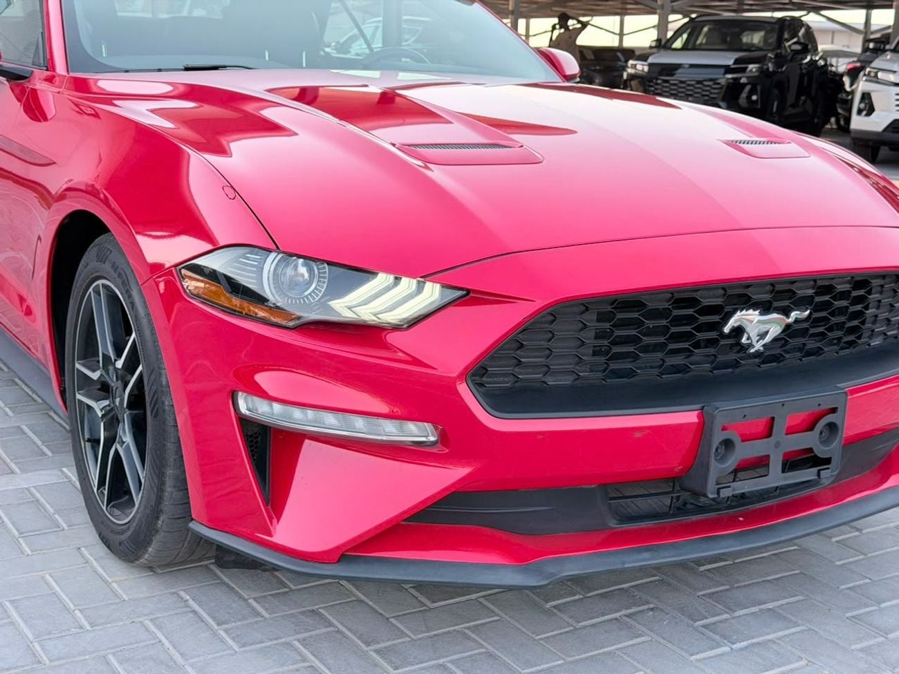 Ford Mustang STD EcoBoost Premium Convertible • 2.3L Turbocharged