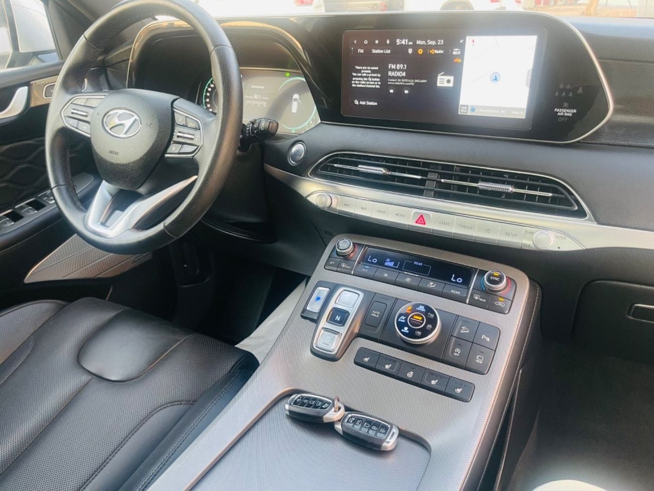 Hyundai Palisade Premium 2021 palisade calligraphy 360 cameras