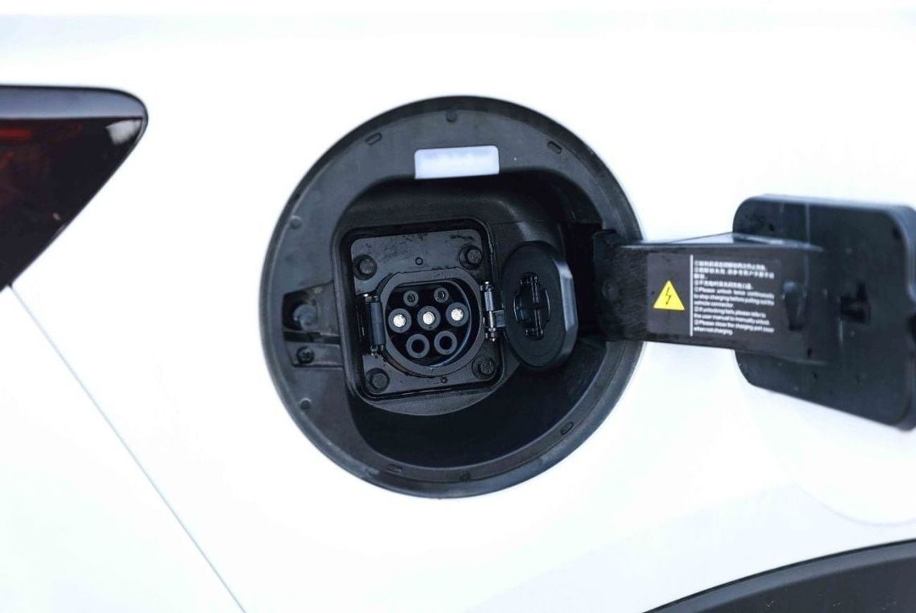 بي واي دي سونغ بلس 2024 BYD SONG PLUS HONOR CHAMPION FLAGSHIP - WHITE inside GREY & BLUE | Export Only