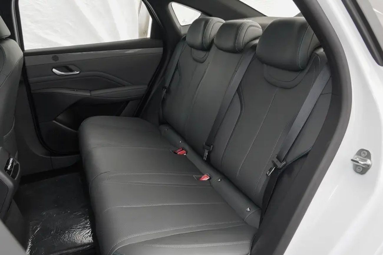 BYD QIN PLUS 1.5L DMI 55KM plug in Hybrid ( DUCAMZ )