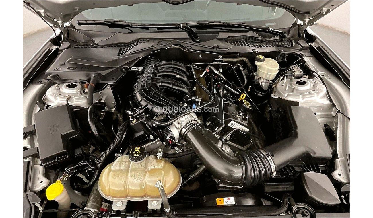 Ford Mustang Standard