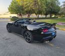 Ford Mustang EcoBoost 2.3L Convertible A/T
